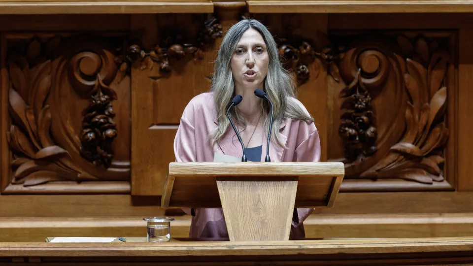 Parlamento: Sessão plenária