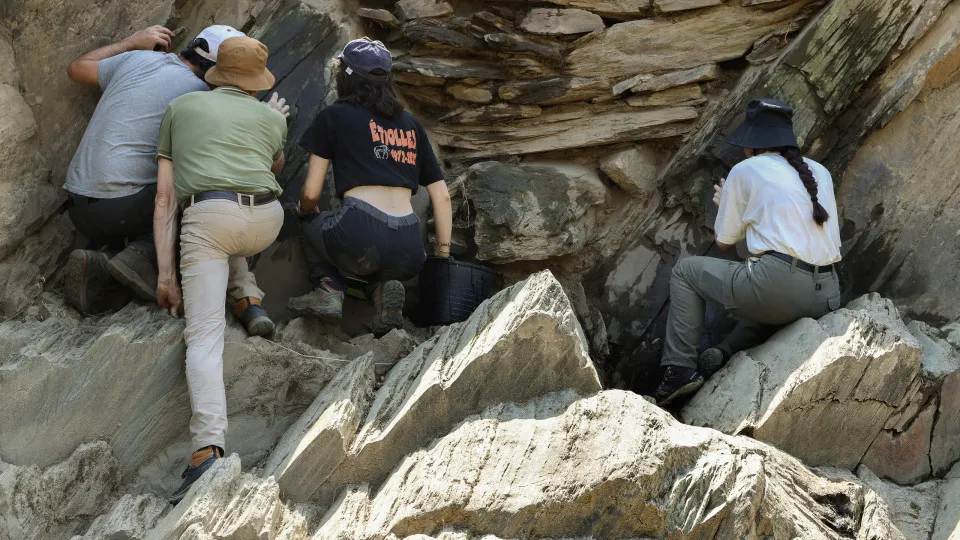 Grupo de arqueólogos está a proceder a novas sondagens no Parque Arqueológico do Vale do Côa