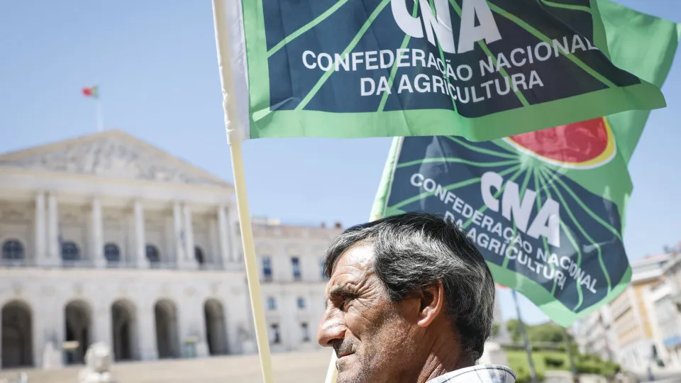 CNA entrega reivindicações dos viticultores do Douro