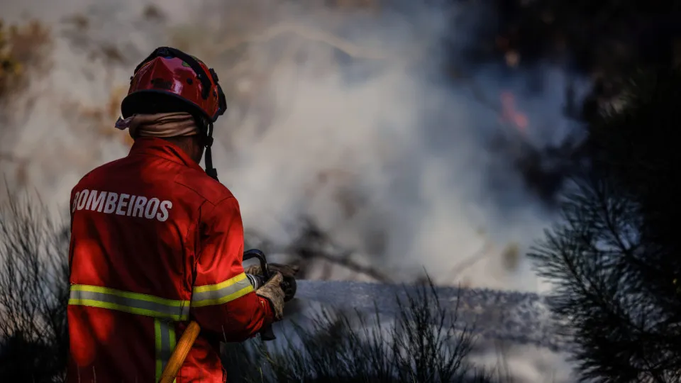 Fogo que reativou em Sabrosa entrou em resolução às 18:21