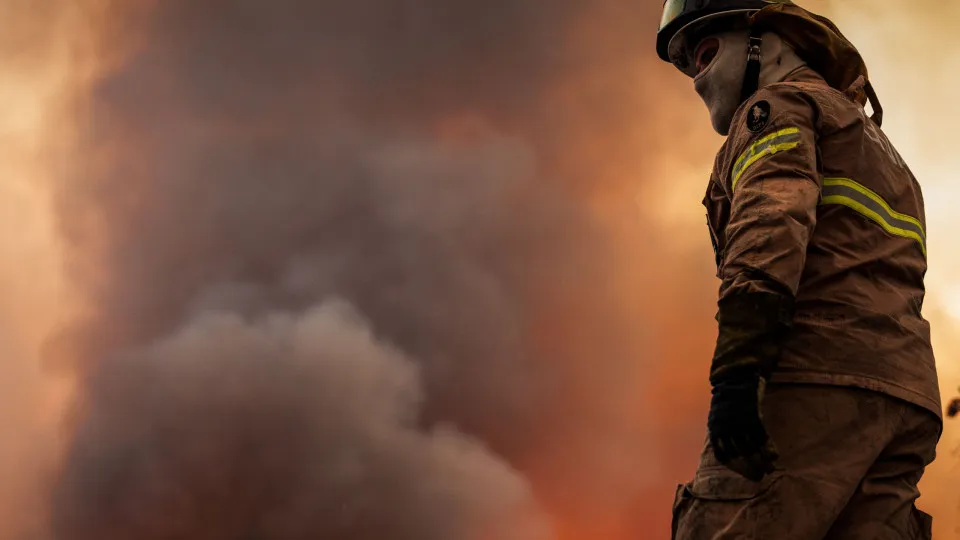 Dominado fogo em área de mato e pasto no concelho de Avis