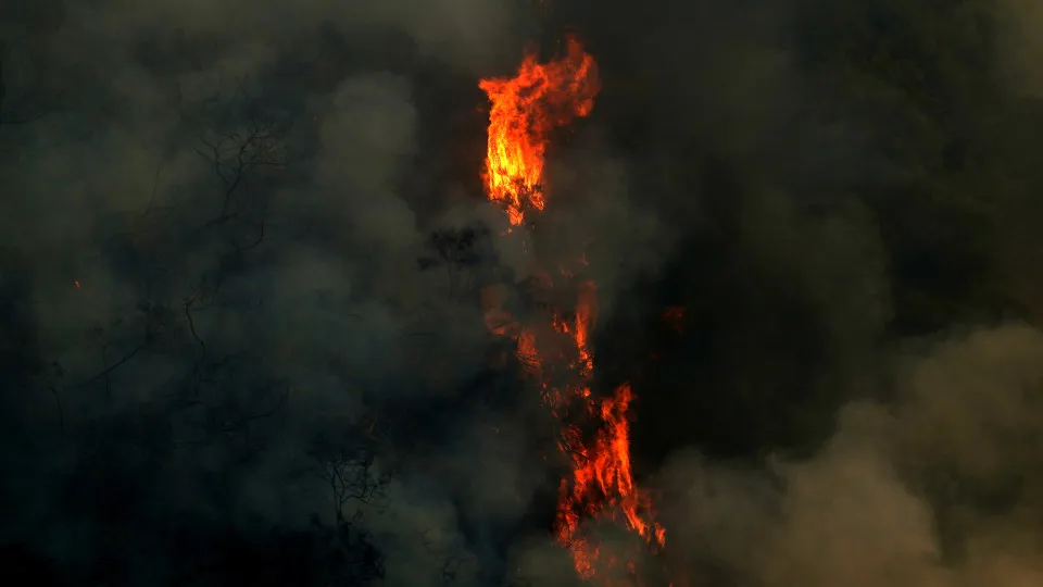 Metade das ocorrências de incêndios registadas durante a noite