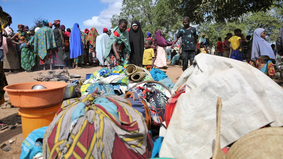 Moçambique quer esforços conjuntos com Tanzânia no controlo da fronteira