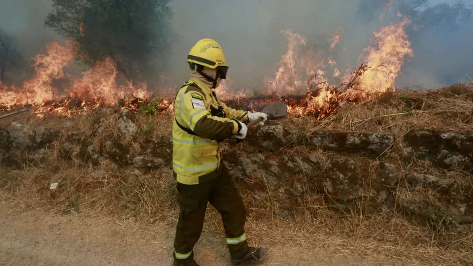 Incêndio em Seia