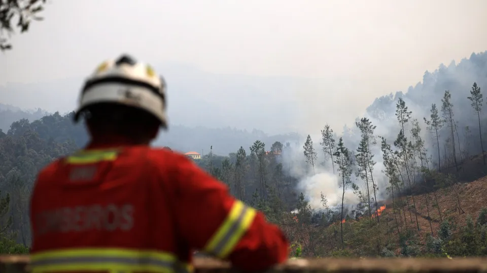 Forest fire in Portugal