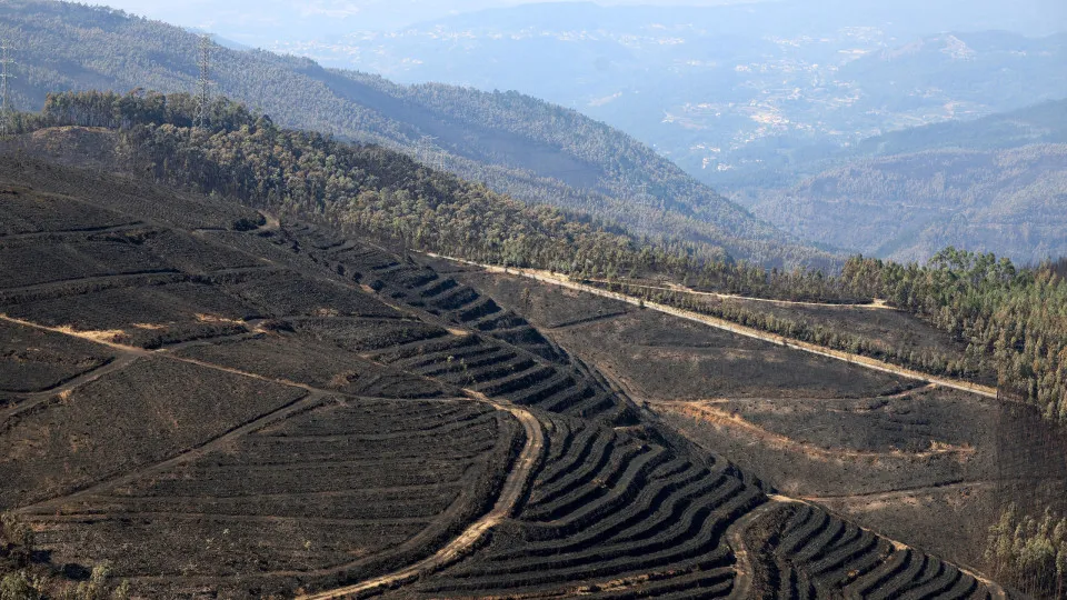 Proteção Civil considera "situação muito mais estável" quanto aos incêndios