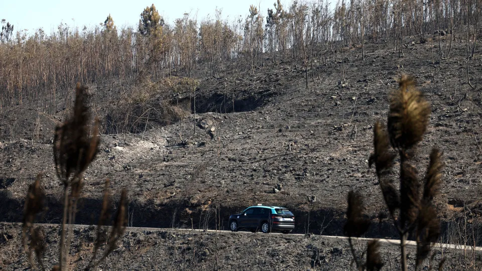 Incêndio de Arouca