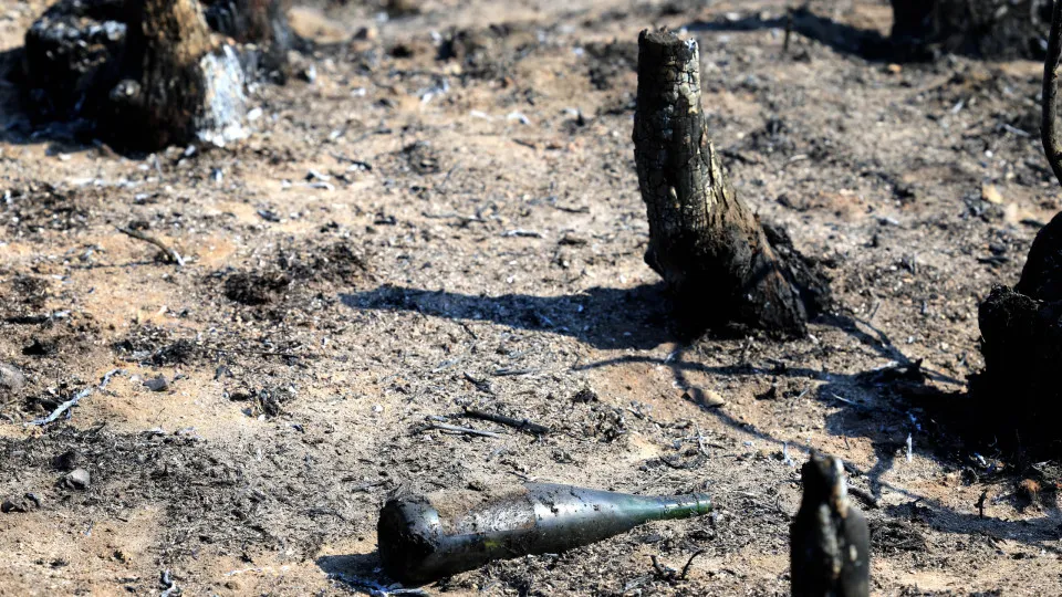 Incêndio de Arouca