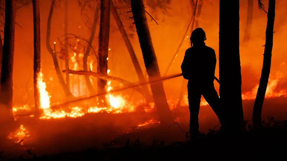 Incêndio em São Martinho da Anta, concelho de Sabrosa