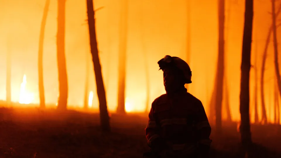 Incêndio em São Martinho da Anta, concelho de Sabrosa
