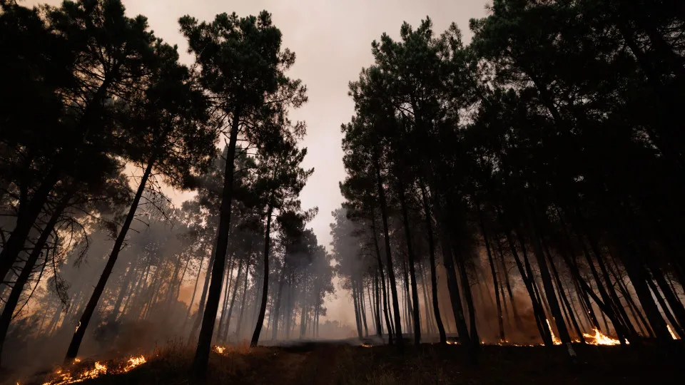 Incêndio em São Martinho da Anta, concelho de Sabrosa