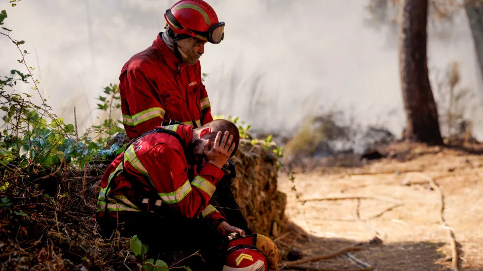 Incêndio em São Martinho da Anta, Sabrosa