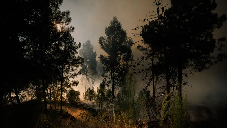 Incêndio em São Martinho da Anta, Sabrosa