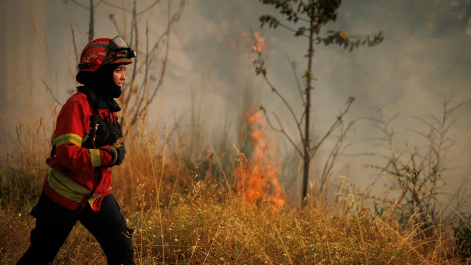 Incêndio na Aldeia de Gontães, Vila Real