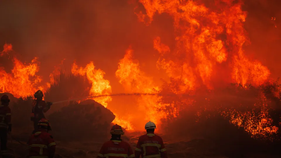 Incêndio no concelho de Vila Real