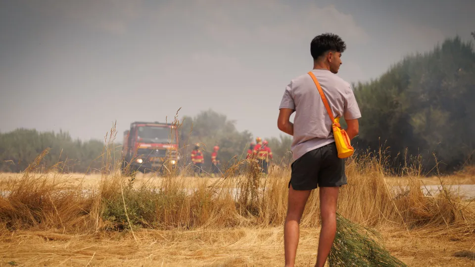 Incêndio em  Alvite, Moimenta da Beira