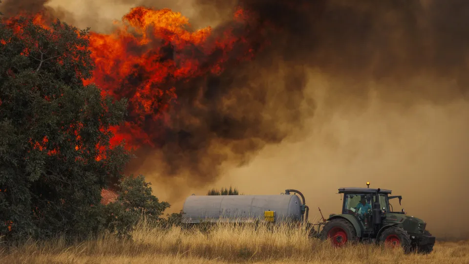 Incêndio em  Alvite, Moimenta da Beira