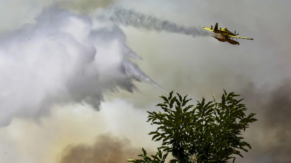 Forest fire in Trancoso