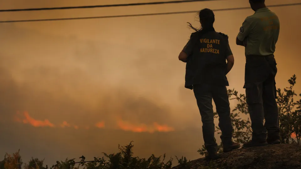 Forest fire in Vila Real