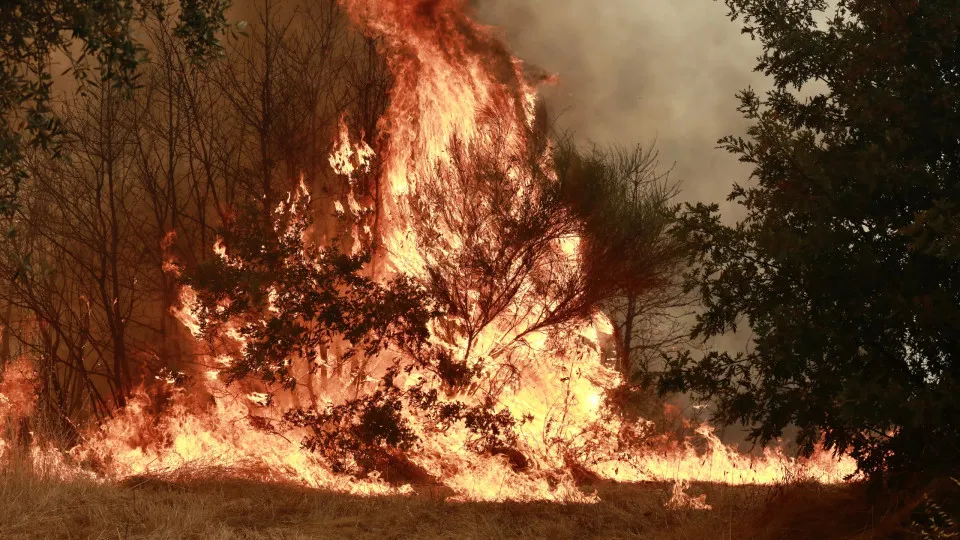 Incêndio em Trancoso