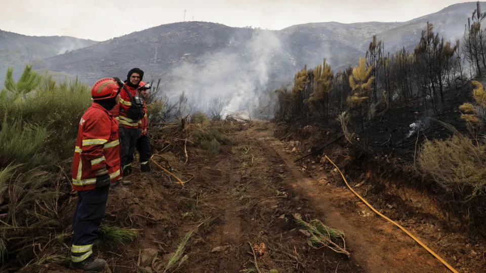 Incêndio em Testeira, Vila Real