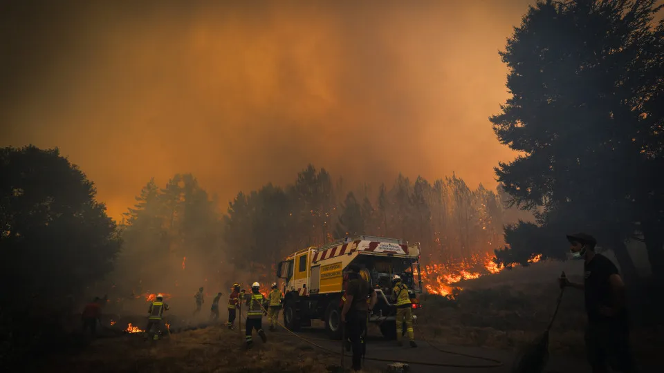 Forest fire in Paredes, Vila Real