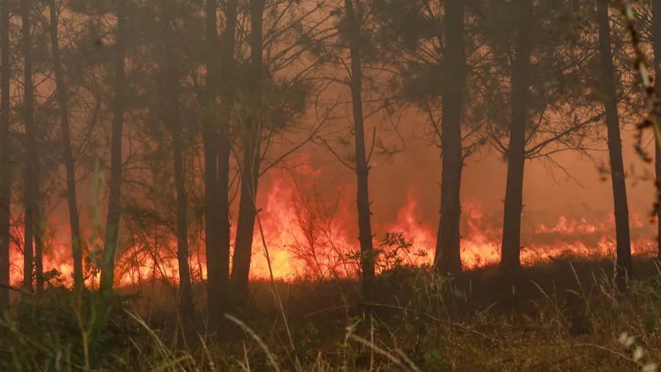 Incêndio em Fornos de Algodres