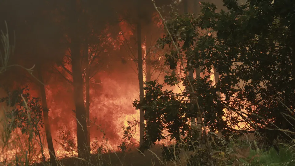 Incêndio em Fornos de Algodres