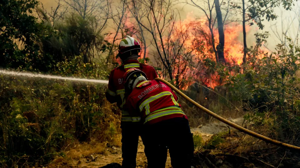 Incêndio: Fogo que lavra em Vila Real atingiu 5.500 hectares na serra do Alvão
