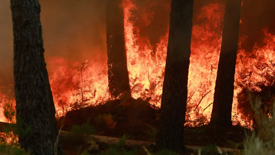 Incêndio em Fornos de Algodres