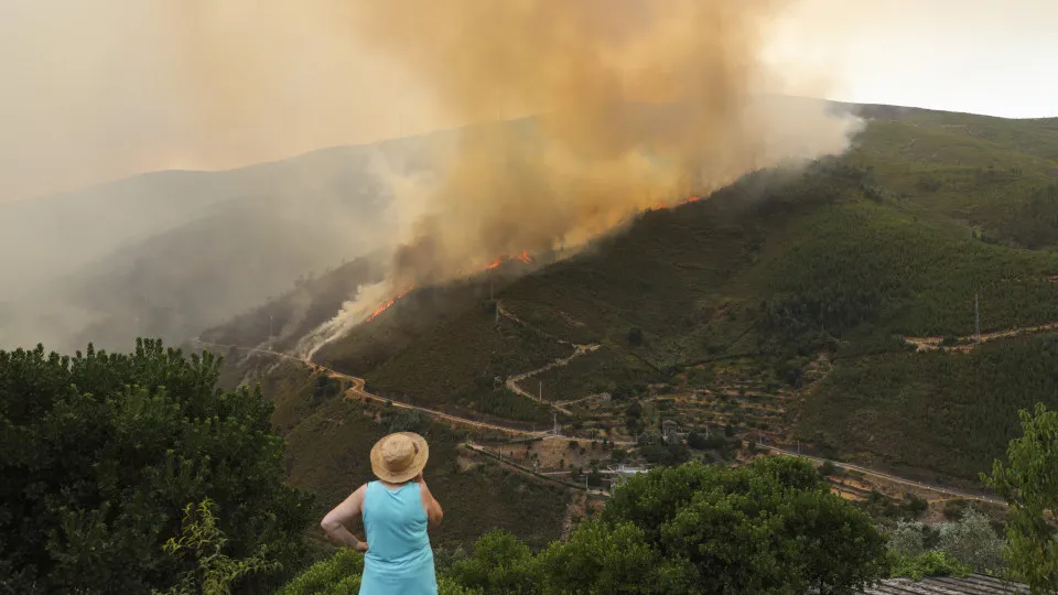 Forest fire at Fornos de Algodres