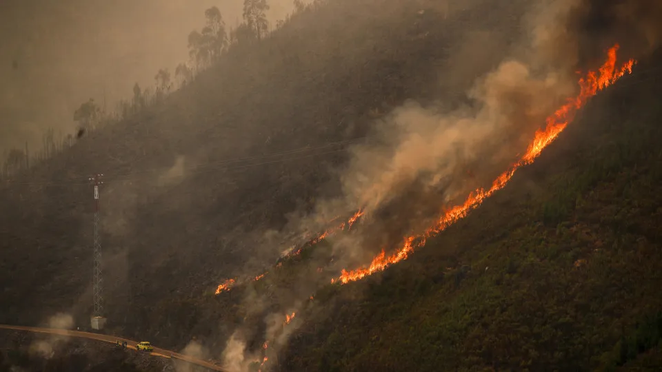 CAPTION CORRECTION: Forest fire at Arganil