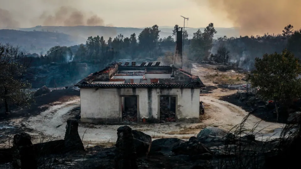 Forest Fire in Fornos de Algodres