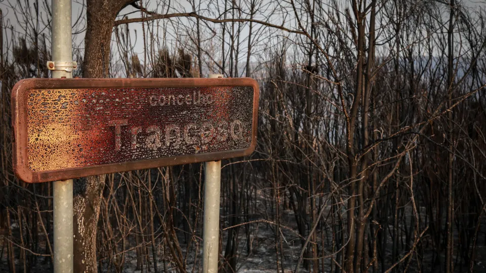 Fogo de Trancoso com frente ativa de seis quilómetros