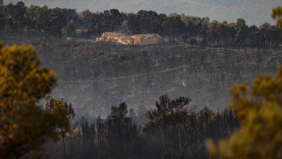 Fogos já queimaram 35.400 hectares de terrenos agrícolas em Espanha