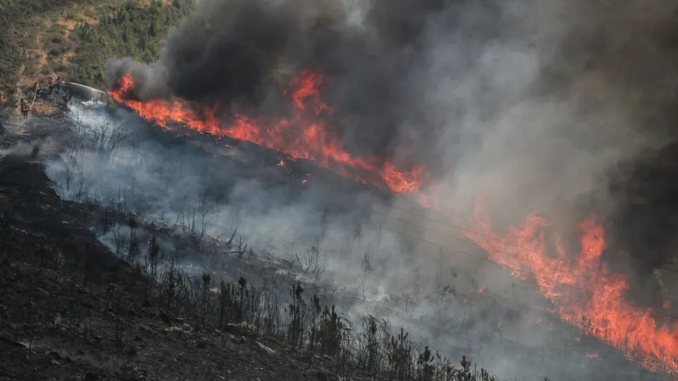 Incêndio de Arganil