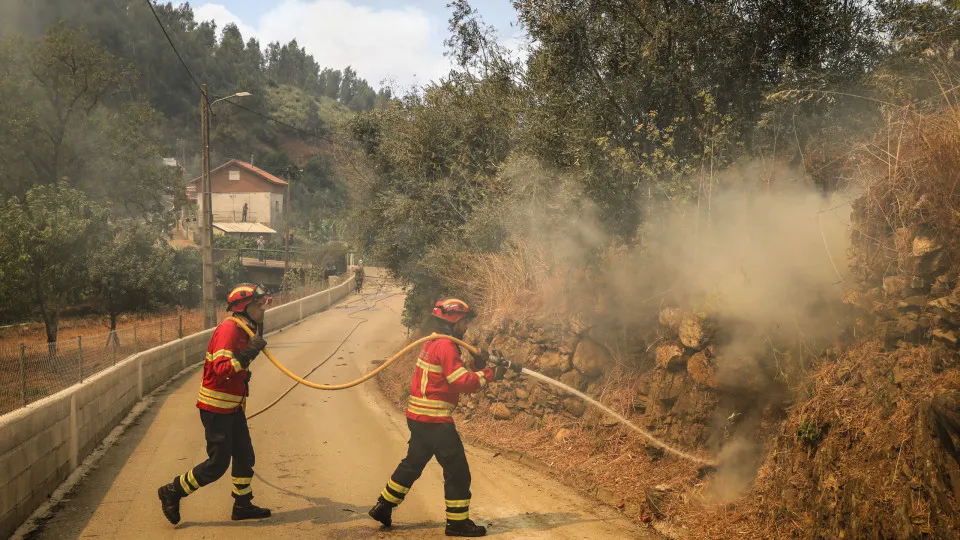 Forest fire in Arganil