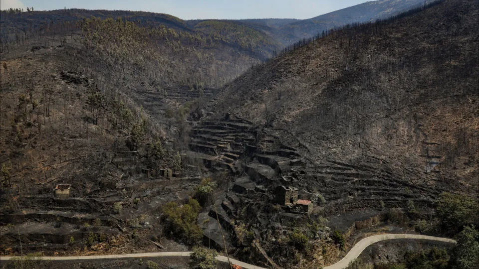 Forest fire in Arganil