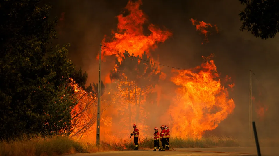 Forest fire in Sernancelhe