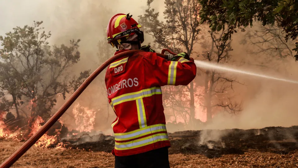 Forest fire in Sabugal