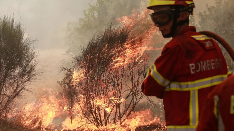 Forest fire in Sabugal