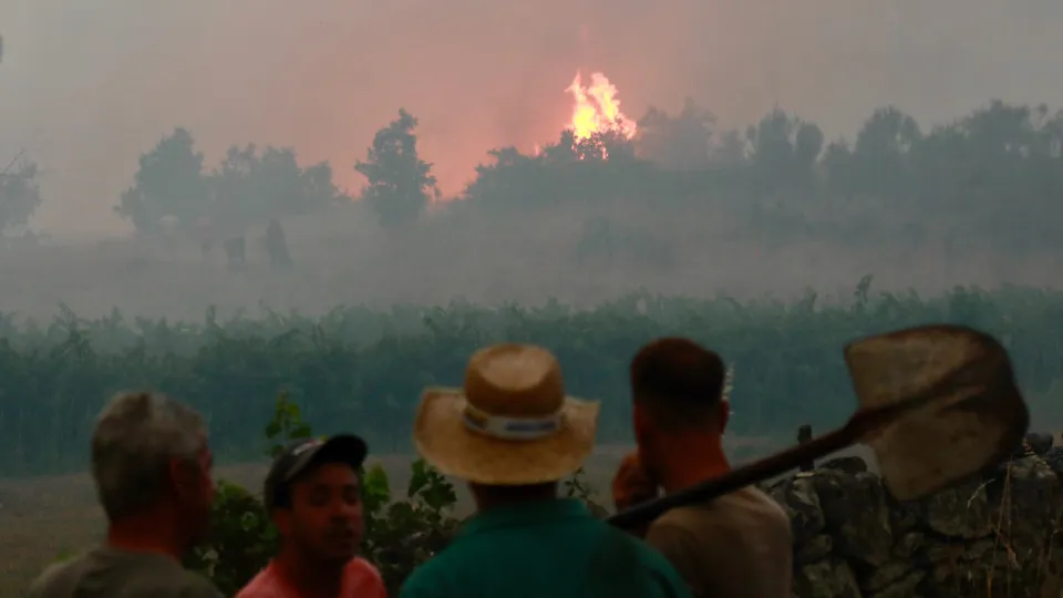 Forest fire in Pinhel