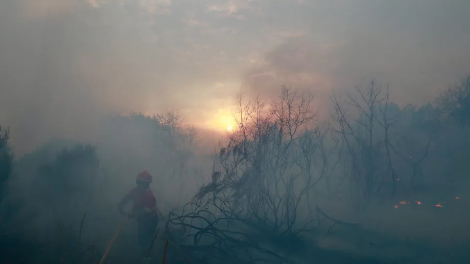 Forest fire in Pinhel