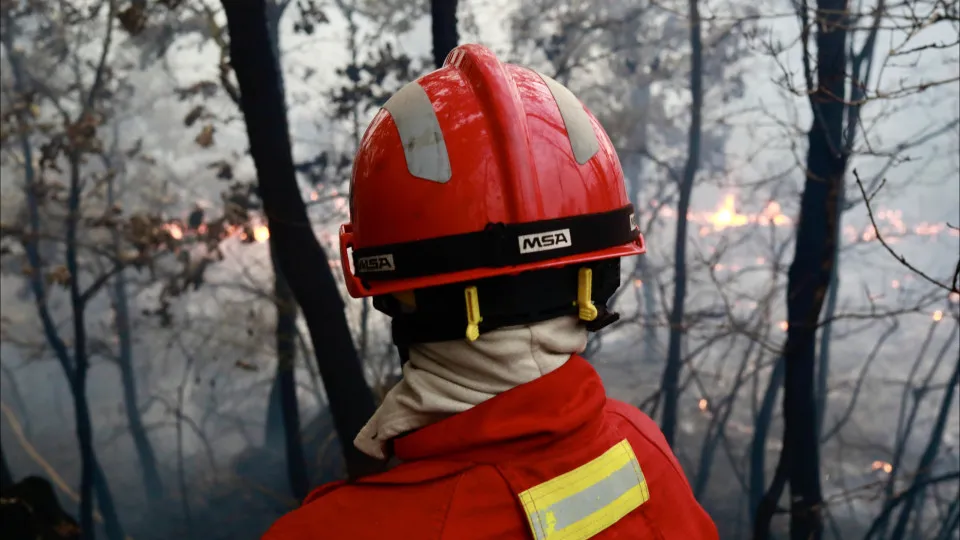 Forest fires in Portugal