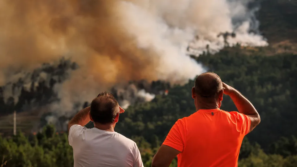 Forest fire in Tarouca