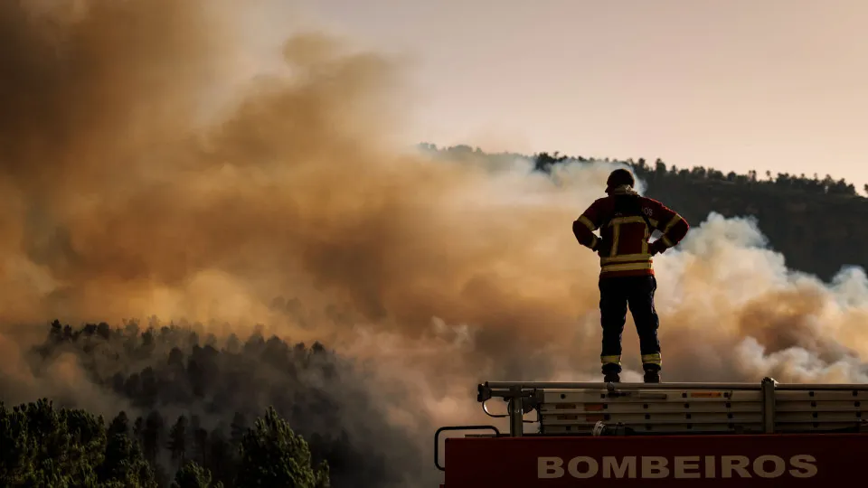 Forest fire in Tarouca