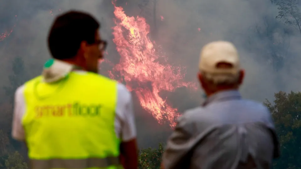 Forest fires in Portugal