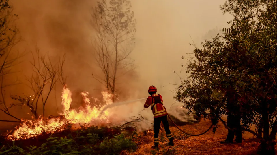 Forest fire in Fundao