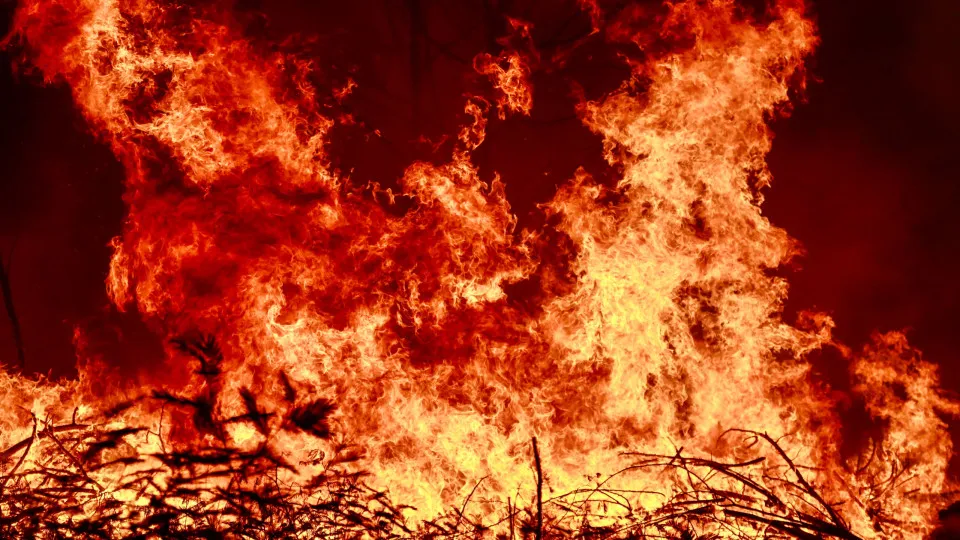Forest fires in Portugal