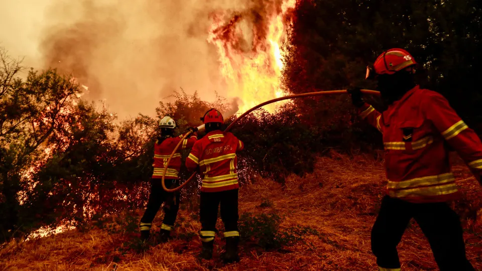 Forest fire in Fundao